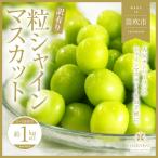 ショッピングふるさと納税 シャインマスカット ふるさと納税 笛吹市 山梨県笛吹市産　シャインマスカット　訳あり粒　ご家庭用　1kg