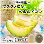 ふるさと納税 あわら市 【先行受付】澤田農園のマスクメロン・ペルルメロン 2種セット(2玉入) 大玉で食べ応え抜群!