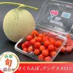 ふるさと納税 山形県 【令和6年発送】さくらんぼとアンデスメロンの詰め合わせ　期間限定