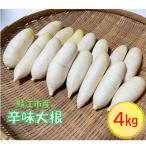 fu.... налог .. город ... соба оптимальный! Echizen Fukui производство . тест дайкон 4kg