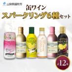 ふるさと納税 笛吹市 缶ワイン スパークリング 6種 飲み比べ 各2本 計12本 モンデ酒造 山梨県 笛吹市