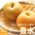ふるさと納税 いすみ市 【2025年発送先行受付】いすみ市産豊水梨 約5kg(13〜14個)