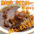 博多和牛 牛すじカレー5食セット じっくり煮込んだバリうま