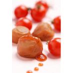 tomato-ume とまと梅