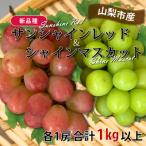 ふるさと納税 山梨市 山梨市産サンシャインレッドとシャインマスカットの特別セット(合計1kg以上)