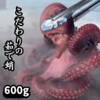 ふるさと納税 刈谷市 こだわりの塩ゆで蛸600g(CAS冷凍・篠島産)タコしゃぶ、たこ焼き、おせち、酒のつまみ(肴)に!