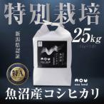 農家直送 魚沼産コシヒカリ特別栽培 白羽毛の米