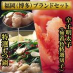ふるさと納税 福岡市 博多ブランドセット もつ鍋2.5人前醤油味と辛子明太子(無着色) 450g 少人数向け SN015