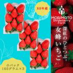 ふるさと納税 三木町 苺ファーム森本　女峰いちご　小パック160g×3 2026年1月〜順次発送　IDOMALL セレクト