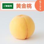 ふるさと納税 井原市 【ご家庭用】岡山県産 黄金桃 5〜7玉(2024年8月下旬頃から順次発送予定)