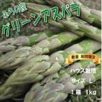 fu.... налог . хорошо . город [2026 год отправка ][ количество * период ]... производство зеленый aspala house культивирование 1kg размер L