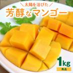 ふるさと納税 糸満市 【2026年発送】沖縄の太陽を浴びた芳醇なマンゴー 1kg(秀品)