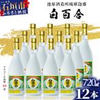 ふるさと納税 石垣市 池原酒造所 白百合 720ml 30度 12本セット　IK-10