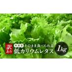 fu.... налог прекрасный . блок есть перевод низкий калий lettuce 1kg(500g×2 пакет ) не комплект стерильное помещений культивирование культивирование период средний пестициды не использование 