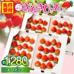 ふるさと納税 三木町 『苺音エコノミー』さぬきひめいちごがいっぱい!約1,280g【2026年2月〜5月配送】
