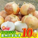 ふるさと納税 泉佐野市 【先行予約】泉州たまねぎ 10kg 射手矢農園 TVで紹介 ity0020