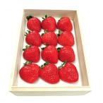 ふるさと納税 春日市 ティッシュBOX用特別仕様の桐箱入りプレミアムあまおうEX約400g×1パック(春日市)