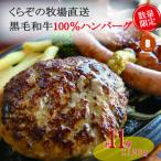 ふるさと納税 小林市 黒毛和牛専門店の国産黒毛和牛100%の贅沢ハンバーグ(計11個)CAS012