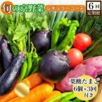 fu.... налог черепаха холм город [6 раз установленный срок рейс ].. столица овощи каждый месяц доставка постоянный course ( все 6 раз )&amp; фолиевая кислота Tama .6 штук входит 