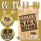 ふるさと納税 みやき町 令和6年産【玄米】さがびより5kg【五つ星お米マイスター厳選!】_SS476