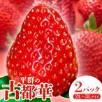 ふるさと納税 平群町 いちご 平群の古都華 2L 〜 3L サイズ　×2パック