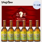 ふるさと納税 延岡市 宮崎ひでじビール 九州CRAFT日向夏Premium 6本セット