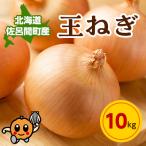 ふるさと納税 佐呂間町 北海道産 玉ねぎ 10kg 佐呂間町 【2024年10月から順次発送】