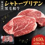 ふるさと納税 菊池市 【熊本県産】黒毛和牛ヒレ・シャトーブリアン ステーキ 約450g(約150g×3枚)