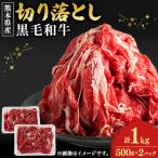 ふるさと納税 菊池市 【熊本県産】黒毛和牛切り落とし計1kg(500g×2パック)