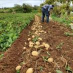 fu.... налог .. блок [ предшествующий предварительный заказ! 2026 год 2 месяц средний . отправка ].. блок специальный продукт иметь машина культивирование ..... примерно 10kg