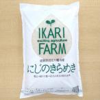 大粒で食べ応えあり にじのきらめき 白米5kg