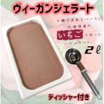 ふるさと納税 帯広市 北海道産いちごヴィーガンジェラート2Lディッシャー付き