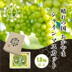 ふるさと納税 岡山市 岡山県産シャインマスカット 1.0kg以上(2〜3房)【2025年9月上旬から発送】