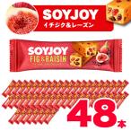 ショッピングレーズン ふるさと納税 板野町 SOYJOY　ソイジョイ　イチジク&レーズン　48本