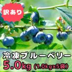 ショッピングふるさと納税 訳あり ふるさと納税 東通村 【感謝企画】訳あり　冷凍ブルーベリー5kg(1kg×5袋)「青森県東通村産」