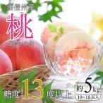 ふるさと納税 豊丘村 【南信州産】桃 あかつき 約5kg 太鼓判・優糖生 【2025年7月下旬~8月上旬発送予定】