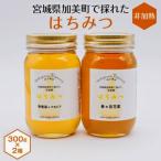 非加熱はちみつ 300g×2種セット<畑山養蜂>