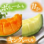 ふるさと納税 行方市 【5月発送】5L玉イバラキングメロン&クインシーメロン(各1玉/計2玉) BW-16