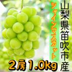 ふるさと納税 笛吹市 シャインマスカット 2房1.0kg以上 山梨県 笛吹市産 朝採り 北浦ファーム厳選 産地直送