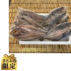 真ほっけ開き 250g×6