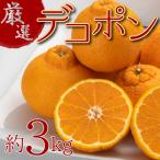 ふるさと納税 宇多津町 【2026年3月上旬より順次発送】濃厚ぷりっぷり♪厳選「デコポン」約3kg