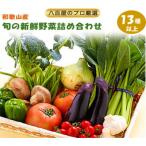 fu.... налог печать юг блок .. свежий овощи комплект большой довольство .13 вид и больше [ овощи набор ]