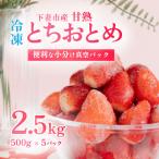 ふるさと納税 下妻市 【先行予約】 訳あり下妻産 Ben‘s Berry 完熟冷凍いちご 2.5kg(500g×5パック)