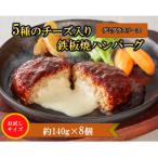 ふるさと納税 飯塚市 5種のチーズ入り鉄板焼ハンバーグ(デミグラスソース)8個セット