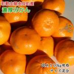 ふるさと納税 印南町 【訳あり・ご家庭用】和歌山由良町産のみかん 約10kg(サイズ混合)(印南町)