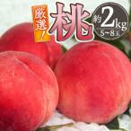 ふるさと納税 甲州市 厳選!山梨県甲州市産 桃 約2Kg