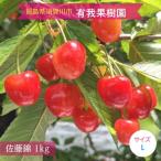 ふるさと納税 須賀川市 さくらんぼ 【有我果樹園】 佐藤錦 1kg L 贈答用