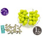 ふるさと納税 甲州市 2026年先行予約 厳選!山梨県甲州市産 シャインマスカット 約1Kg以上 2〜3房