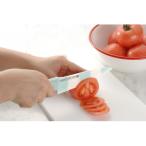 ふるさと納税 岩泉町 フォーエバー　抗菌カラーセラミック包丁14cmグリーン