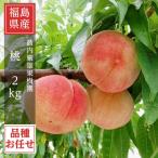 ふるさと納税 須賀川市 桃 【箭内厳雄果樹園】 もも 2kg 5〜9玉 品種おまかせ 贈答用